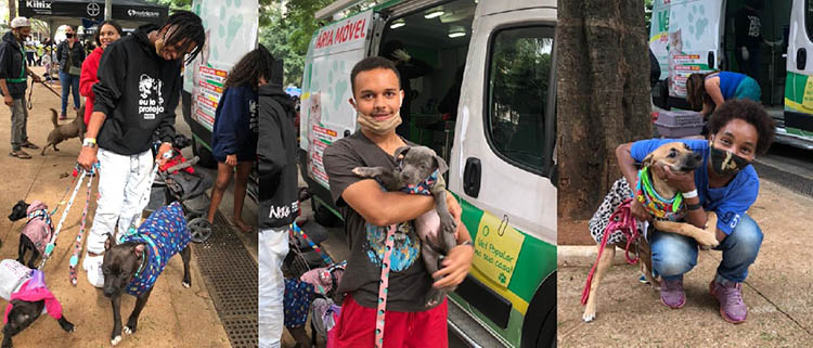 Vet Popularnoticia Acao Vet Movel