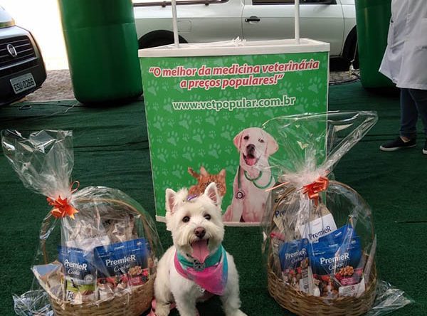 Vet Popularnoticia Virada Pet 600x444