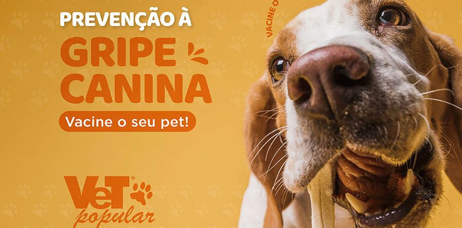 Campanhablog Site 900x600 1 900x444