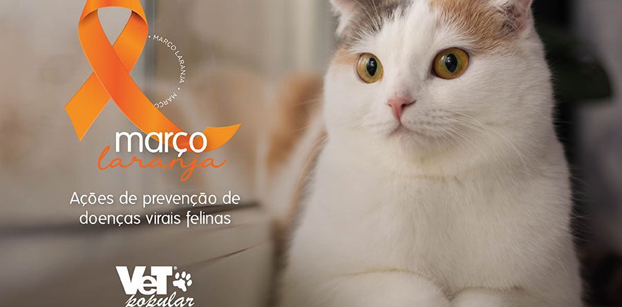 Noticia Site 01 900x444