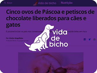 Banho e Tosa para Gatos Jardim America - Banho e Tosa Barueri - Ecovet  Petshop e Clínica Veterinária em Barueri