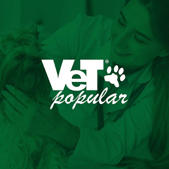 Banho e Tosa para Gatos Jardim America - Banho e Tosa Barueri - Ecovet  Petshop e Clínica Veterinária em Barueri