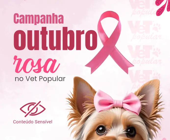Campanha Outubro Rosa Min