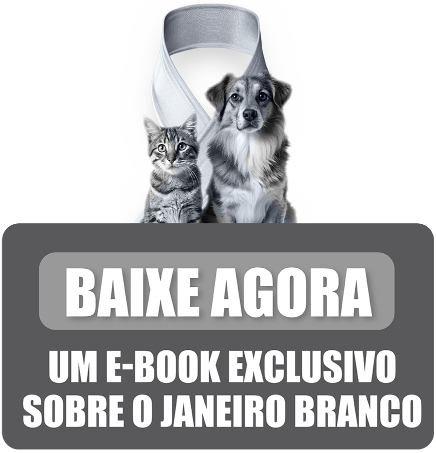 Ebook Downloadtransparente2