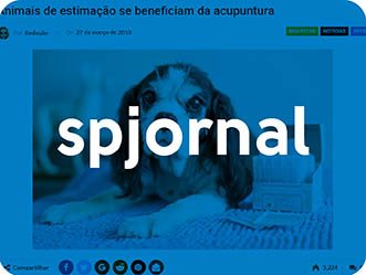 Saiu Na Midia Novosanimaisdeestimacaosebeneficiamdaacupuntura