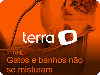 Saiu Na Midia Setembroterra