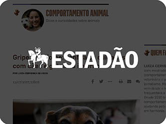 Vet Popularsaiu Na Midia 2017 Tutores Reduzem Passeios E Investem Em Roupinhas Saiba Cuidar Do Pet No Frio