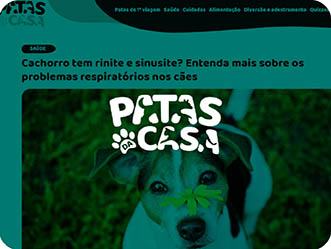 Vet Popularsaiu Na Midia 2018 Cachorro Tem Rinite E Sinusite