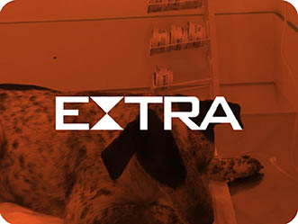 Vet Popularsaiu Na Midia 2018 Caminhoneiro Atira Contra Cachorra