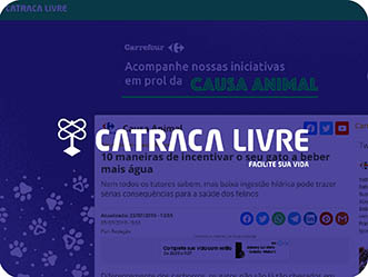 Vet Popularsaiu Na Midia 2019 Maneiras De Incentivar O Gato A Beber Mais Agua