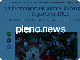 Vet Popularsaiu Na Midia 2019 Saiba Proteger Seu Animal Do Barulho