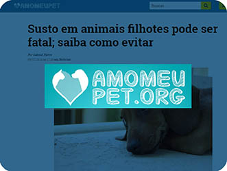 Vet Popularsaiu Na Midia 2019 Susto Em Animais Filhotes Pode Ser Fatal