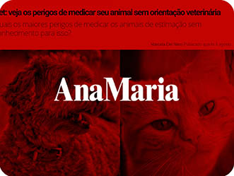 Vet Popularsaiu Na Midia 2020 Perigos De Medicar Seu Pet Sem Orientacao Veterinaria