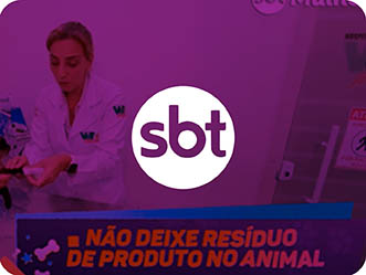 Vet Popularsaiu Na Midia 2020 Sbt Mulher