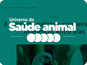 Vet Popularsaiu Na Midia 2021 8 Racas De Galinhas Poedeiras