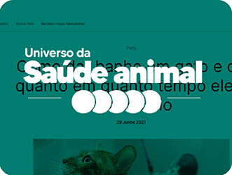 Vet Popularsaiu Na Midia 2021 Como Dar Banho Em Gato