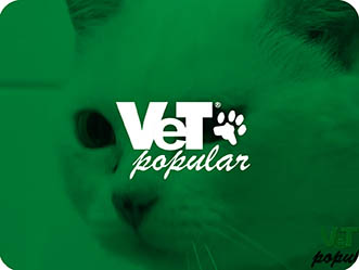 Vet Popularsaiu Na Midia 2021 Vet Popular