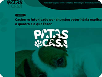 Vet Popularsaiu Na Midia Cachorrointoxicadoporchumbo Veterinariaexplicatudosobreoquadroeoquefazer