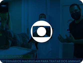 Vet Popularsaiu Na Midia E De Casa Globo