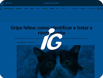 Vet Popularsaiu Na Midia Gripefelina Comoidentificaretratararinotraqueite