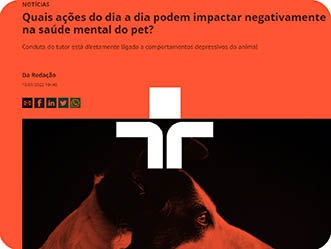 Vet Popularsaiu Na Midia Janeiro 2022 Quais Acoes Do Dia A Dia Podem Impactar Negativamente Na Saude Mental Do Pet