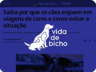 Vet Popularsaiu Na Midia Janeiro 2023 Saiba Porque Os Caes Enjoam Em Viagens De Carro E Como Evitar A Situacao