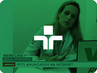 Vet Popularsaiu Na Midia Janeiro 2023 Vet No Jornal Da Tarde