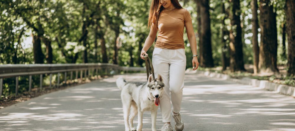 Passeio No Parque 1000x444