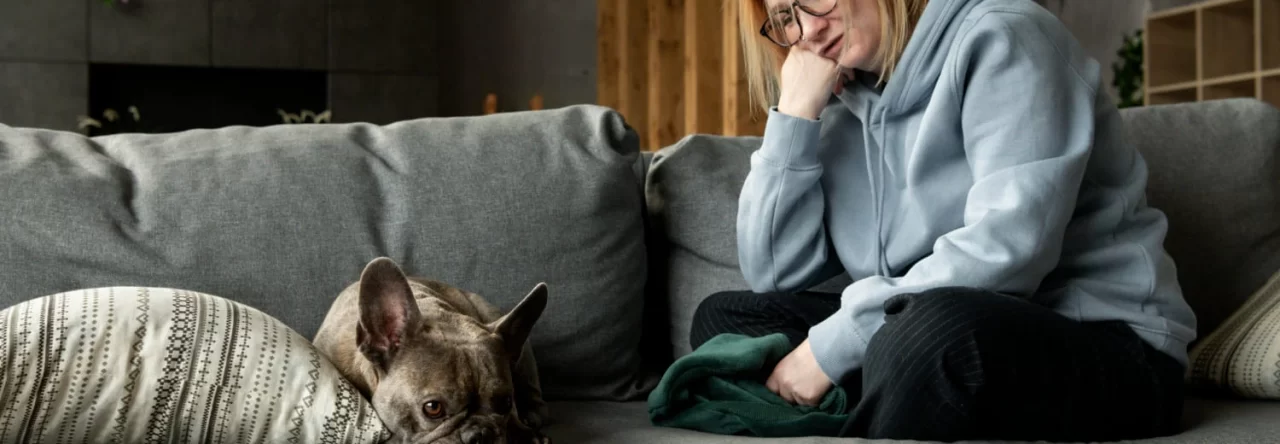 Como Identificar Sinais De Estresse No Seu Pet 1280x444