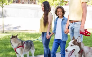 Dicas Para Integrar O Pet A Atividades Familiares 305x190