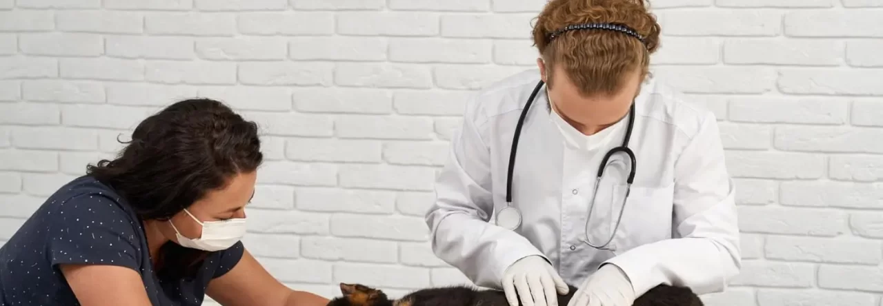 Guia Completo De Prevencao De Doencas Em Pets 1280x444