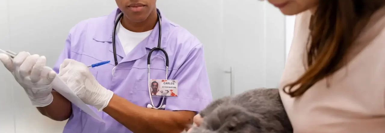 Entenda A Importancia Dos Exames Veterinarios De Rotina 1280x444