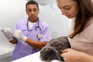Entenda A Importancia Dos Exames Veterinarios De Rotina 300x200
