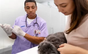 Entenda A Importancia Dos Exames Veterinarios De Rotina 305x190