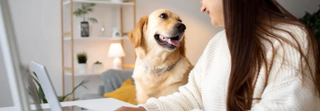 Canal De Suporte Veterinario Conheca Vantagens E Como Funciona 1280x444