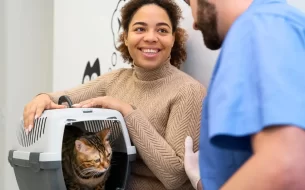 Quais Sao Os Principais Beneficios Da Castracao De Pets 305x190