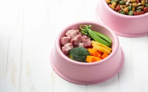 Alimentacao Natural Para Pets Confira Mitos E Verdades 305x190