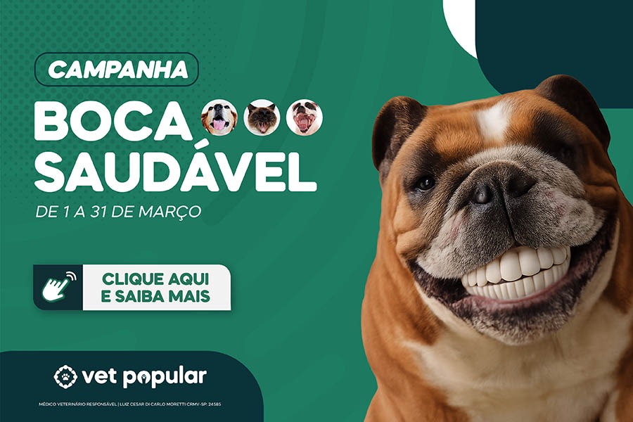 Whatsapp Image 2026 02 25 At 110955