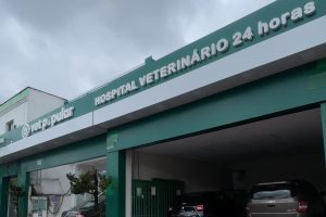 Hospital Veterinario Acessivel Vet Popular E Destaque 300x200