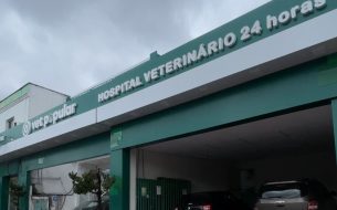 Hospital Veterinario Acessivel Vet Popular E Destaque 305x190