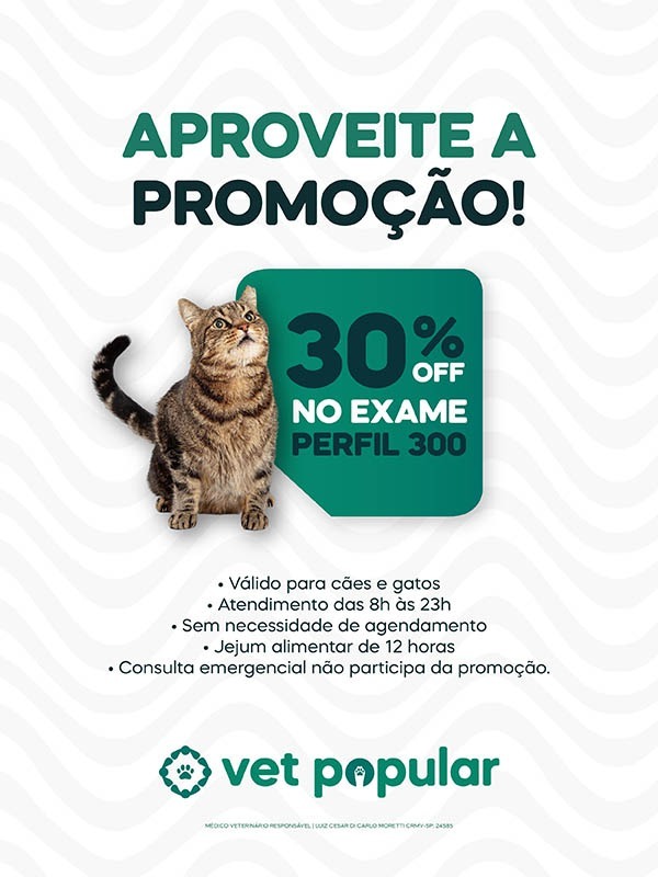 Popup Agosto 2026