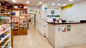 Check Up Veterinario Anual Quando Fazer 300x169