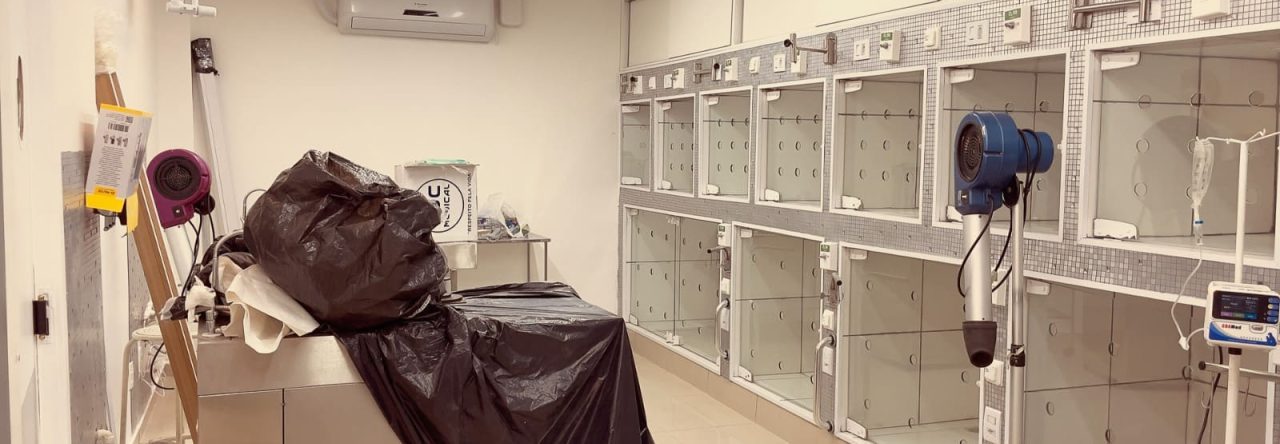 Como Funciona Uma Uti Veterinaria Na Pratica 1280x444