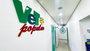 Como Montar Uma Rotina Para Pets Em Apartamento 300x169