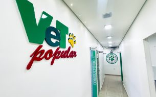 Como Montar Uma Rotina Para Pets Em Apartamento 305x190