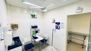 Como Reduzir Riscos Em Tratamentos Veterinarios 300x169
