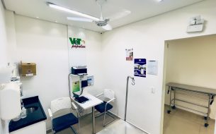 Como Reduzir Riscos Em Tratamentos Veterinarios 305x190