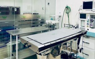 Conheca Erros Por Falta De Diagnostico Preciso Na Veterinaria 305x190