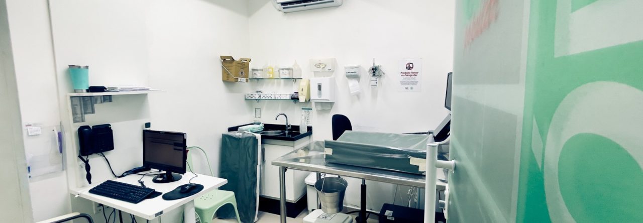 Diferenca Entre Hospital Veterinario Avancado E Clinica Basica 1280x444
