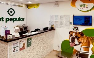Intoxicacao Em Pets Principais Causas Dentro De Casa E Como Evitar 305x190